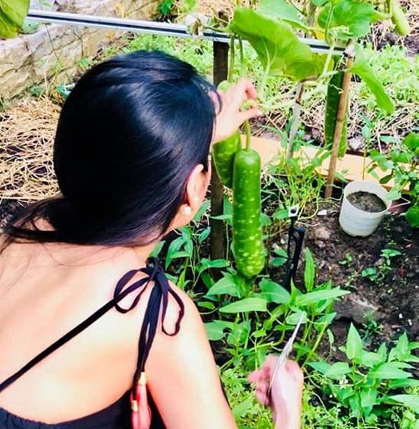 Không chỉ từ thiện khắp nơi, Thủy Tiên còn nổi tiếng amp;#34;thảo ănamp;#34;, trồng rau được cho hết - 3