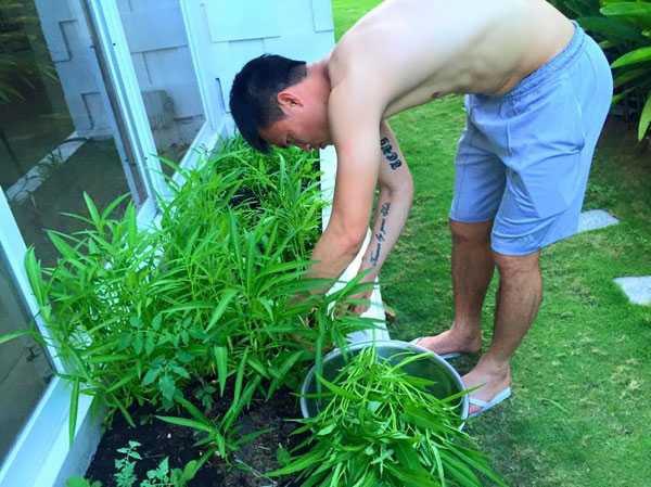 Không chỉ từ thiện khắp nơi, Thủy Tiên còn nổi tiếng amp;#34;thảo ănamp;#34;, trồng rau được cho hết - 7