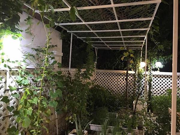 Không chỉ từ thiện khắp nơi, Thủy Tiên còn nổi tiếng amp;#34;thảo ănamp;#34;, trồng rau được cho hết - 9