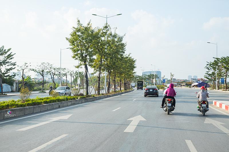 Con phố có đến 8 làn đường cực kỳ rộng rãi, tránh ách tắc giao thông. Cây xanh hai bên đường được trồng chủ yếu là giống phượng hoa vàng.
