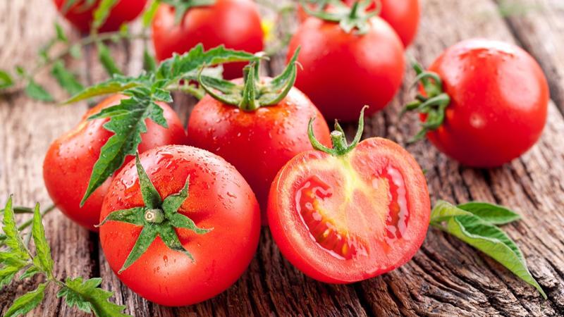 Ngoài ra nhiệt độ thấp của tủ lạnh còn ngăn cản quá trình chín tự nhiên của cà chua.
