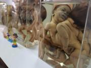 Xem ăn chơi - Thanh niên "cứng" cũng phát khiếp khi bước chân vào bảo tàng chết chóc này