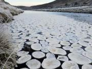 Xem ăn chơi - “Bánh kếp băng” phủ đầy dòng sông khiến ai đi qua cũng không thể tin được