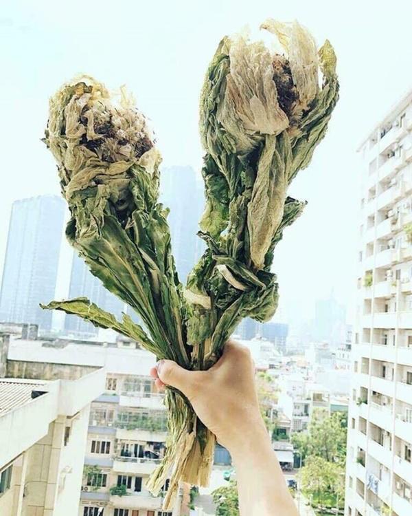 Cận cảnh bông hoa không dưới 5 triệu đồng đang được dân chơi Việt săn lùng - 13