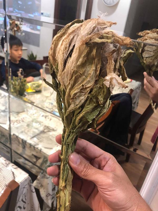 Cận cảnh bông hoa không dưới 5 triệu đồng đang được dân chơi Việt săn lùng - 6