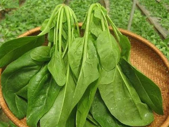 Chị em mua ngay cho chồng loại rau vừa bổ thận tráng dương, vừa chống ung thư cực tốt