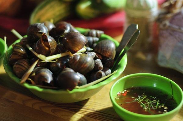 Không nên quên điều này khi luộc khiến ốc bị dai, không giòn mất ngon - 1