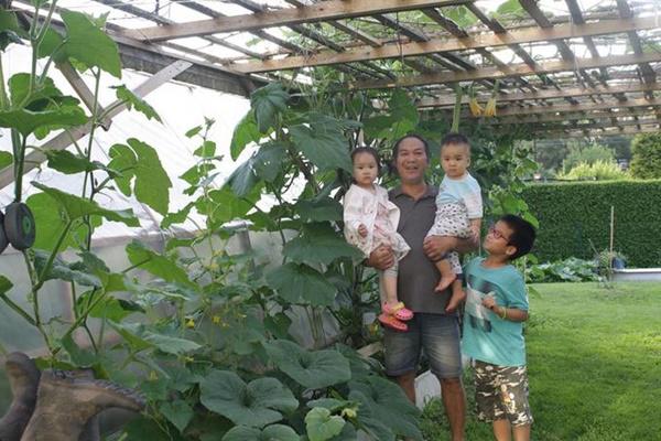 khu vuon 70m2 trong du loai rau, mua nao cung co bau, bi triu trit cua ong bo viet kieu - 9