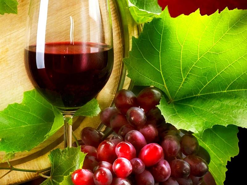 Rượu nho còn có chất chống oxy hóa, có tác dụng bảo vệ tim mạch, phòng chống suy tim, bệnh động mạch vành, rất tốt cho người khi bước vào tuổi già. Rượu nho cũng có tác dụng kích thích hỗ trợ tiêu hóa.


