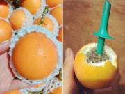 Nhà đẹp - Kỳ lạ loại chanh leo có vị ngọt, giá hơn 100.000 đồng/quả