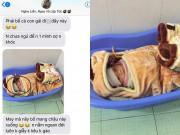 Làm mẹ - Mẹ bỉm sữa đi vệ sinh rùng mình vì một "ánh mắt dõi theo", dân mạng nhìn ảnh cười bò