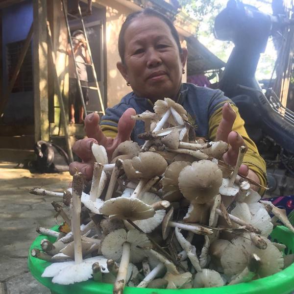 hai dac san nam vua 