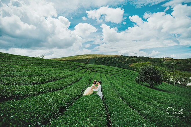 Chẳng cần đi đâu xa, người người nhà nhà đều chọn Đà Lạt để có bộ ảnh cưới trong mơ - 1