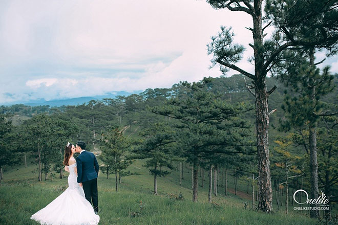 Chẳng cần đi đâu xa, người người nhà nhà đều chọn Đà Lạt để có bộ ảnh cưới trong mơ - 5