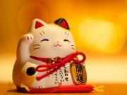 Eva tám - Kỷ Hợi 2019, 3 con giáp đầu năm đổi vận, giữa năm phát tài, cuối năm tiền tỷ trong tay