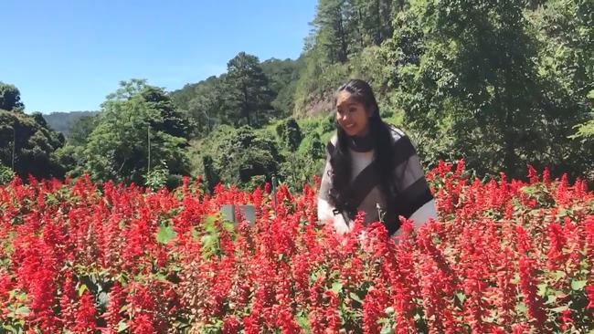 Bệnh tim của Tường trở nặng trong Gạo Nếp Gạo Tẻ vì chạy amp;#34;mệt nghỉamp;#34; theo Hương trên đồi hoa? - 3