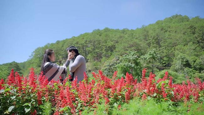 Bệnh tim của Tường trở nặng trong Gạo Nếp Gạo Tẻ vì chạy amp;#34;mệt nghỉamp;#34; theo Hương trên đồi hoa? - 1