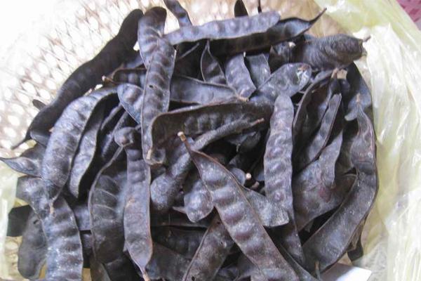 10 ngày mới tắm 1 lần, thì ra mỹ nhân Trung Hoa xưa ở bẩn hơn chúng ta tưởng nhiều - 8