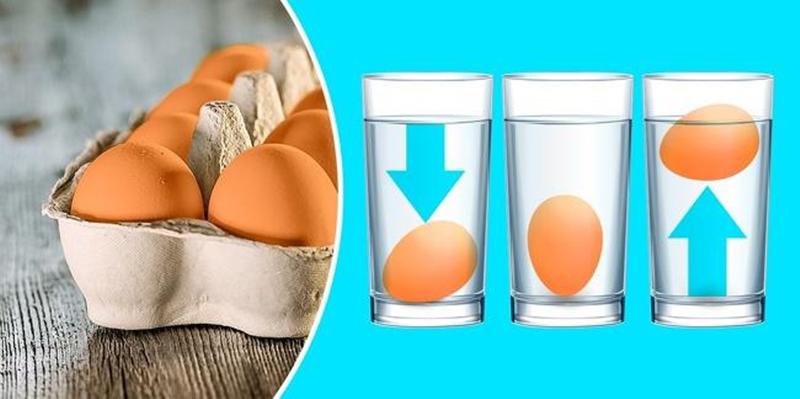 Trứng có thể đặt trong tủ lạnh khoảng 3 tuần. Bạn có thể kiểm tra chúng bằng cách thả chúng vào cốc nước, nếu trứng chìm là trứng còn tươi, nếu trứng nổi là trứng hỏng nên vứt bỏ.
