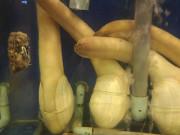 Tin tức - Con vật có hình thù nhạy cảm, ai nhìn cũng “đỏ mặt”, giá cả chục triệu tại Việt Nam