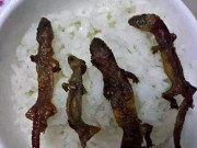 Xem ăn chơi - Đặc sản thằn lằn khô bốc mùi hôi thối khiến thực khách chạy "té khói"