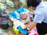 Tin tức - Nghe tiếng mèo kêu bên vệ đường, người đàn ông phát hiện sự thật không ngờ