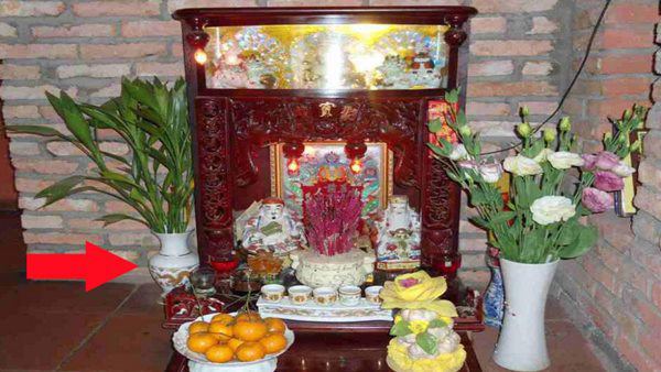 dat ban tho than tai o dau cho dinh nhung thu nay, lam an lui bai, chang may ma ngheo - 4
