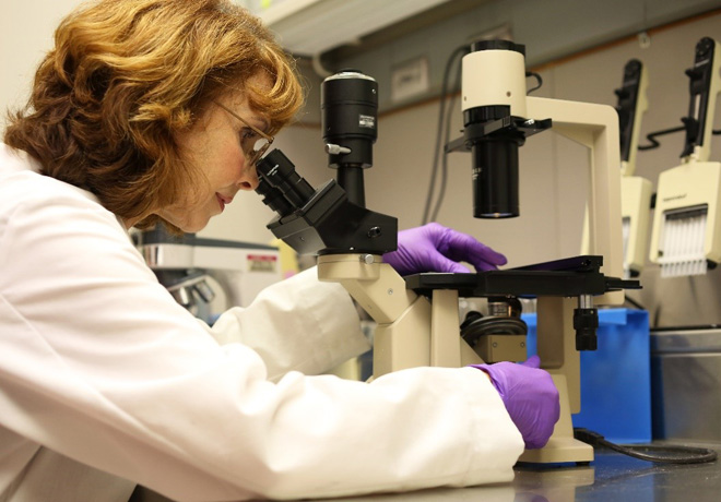 Tiềm năng tương lai của amp;#34;người hùngamp;#34; HMO - 1