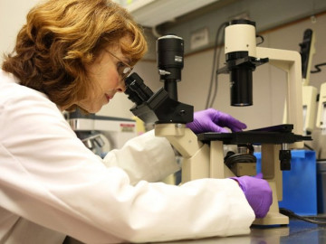 Tiềm năng tương lai của người hùng HMO