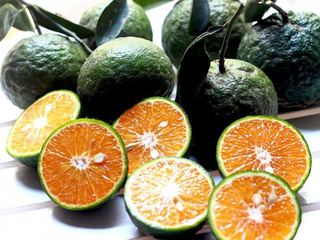 Bản tin tiêu dùng: Cam sành nơi 17.000 đồng/kg, nơi tăng vọt 90.000 đồng/kg khiến chị em hoang mang