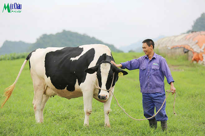 Về thăm cao nguyên Mộc Châu tháng 10 này có gì? - 2