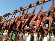 Xem ăn chơi - Gà hong gió - đặc sản Tây Tạng: rất ngon nhưng cách làm quá tàn nhẫn