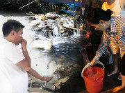 Tin tức - Khuyến cáo không dùng nước của Công ty nước sạch sông Đà để ăn uống: Chất Styren có đáng sợ?