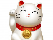 Nhà đẹp - Tuổi Mão hợp màu gì? Xây nhà nên lưu ý màu sắc gì để Thần Tài gõ cửa?
