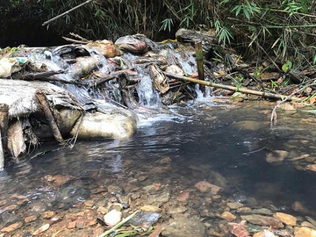 Vụ nước sạch Sông Đà nhiễm dầu: Bắt khẩn cấp hai đối tượng đổ trộm dầu thải