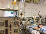 Sức khỏe - Bé gái 7 tuổi bị suy gan, thận nghiêm trọng vì ăn bộ phận "cấm kị" của cá