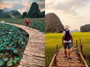 Xem ăn chơi - Sen nở rộ, lúa trải vàng đẹp mê lòng người ở "thánh địa sống ảo miền Bắc"