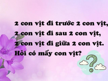 5 câu đố tưởng toát mồ hôi hột mà người thông minh chỉ chớp mắt là xong!