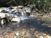 Tin tức - Vụ nước sạch sông Đà nhiễm dầu: Manh mối quan trọng giúp công an lần ra 3 nghi phạm