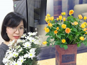 Nhà đẹp - Tự cắm hoa hồng song hỷ trong ngày cưới, mẹ Hà Nội khiến nhà trai bất ngờ, nức lời khen