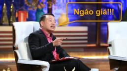 Các startup đã ngáo giá đến mức nào để Shark Bình phải đẻ ra thuật ngữ mới này