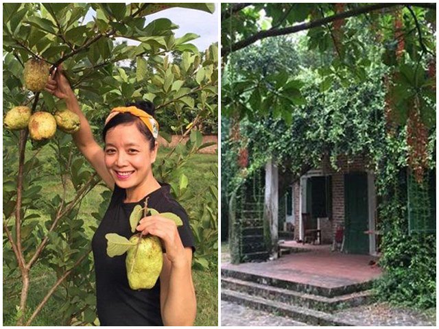 Biệt thự giữa phố tiền tỷ không bán, NSƯT Chiều Xuân mua thêm nhà vườn dưỡng già rộng mênh mông