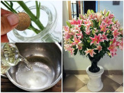 Nhà đẹp - Cắm hoa đổ thêm chút bia vào "ướp", nghe lạ lẫm nhưng hiệu quả nhà nhà học theo