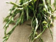 Xem ăn chơi - Loại rau 4 mùa mới có 1 lần, đắt hơn vàng vẫn ùn ùn xếp hàng đợi được ăn