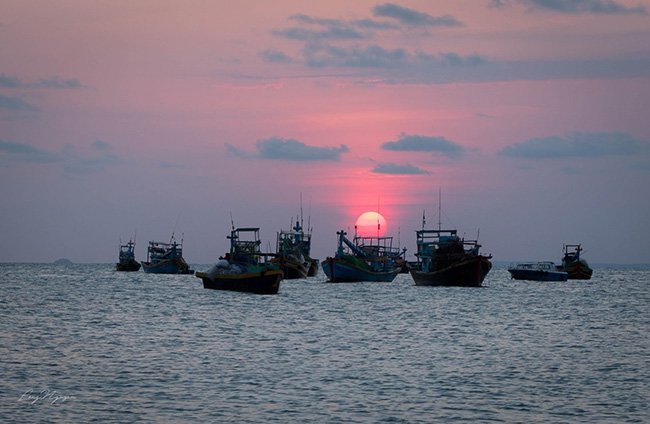 mui ke ga: noi ngon hai dang co nhat viet nam nam lang im giua bien - 10