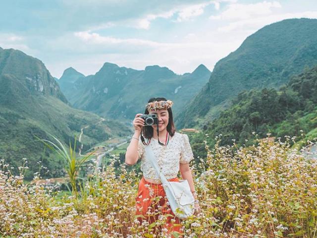 6 địa điểm ngắm trọn vẻ huyền diệu của hoa tam giác mạch Hà Giang