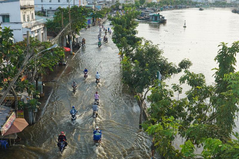trieu cuong dat dinh, nguoi dan vat va loi nuoc ve nha: "dau phai song o sai gon la suong" - 1