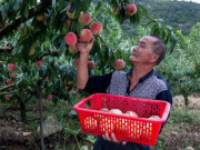 Sức khỏe - Cụ ông 70 tuổi mắc ung thư gan vẫn sống khỏe nhờ một bát súp và chú ý 2 việc