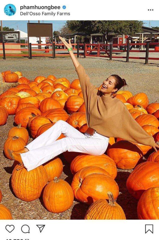 Sao hạng A bị chê ý thức kém: Hà Hồ, Hà Tăng chịu chỉ trích vì cùng một hành động - 1