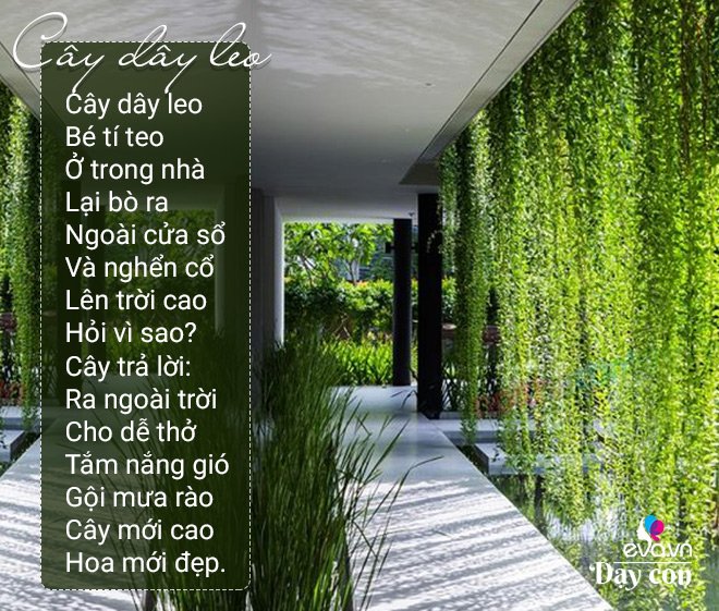 11 bài thơ dân gian cho trẻ 3-4 tuổi phát triển trí não, thông minh hơn - 4
